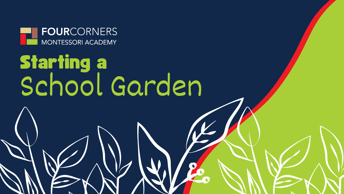 Starting a School Garden